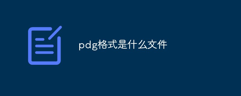 pdgʽʲôļ